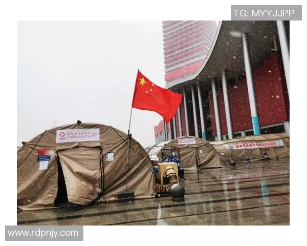 武汉极限运动队进攻战术解析与实战应用探讨