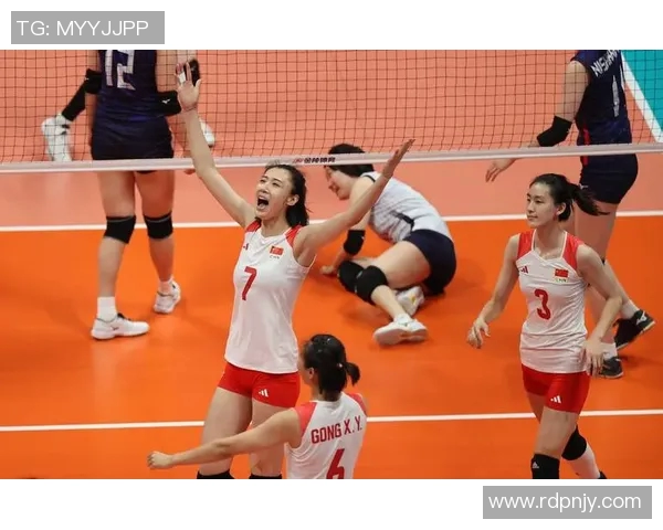 独家解读杭州排球队实力对比及未来发展潜力分析